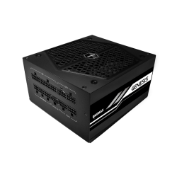 Alimentation modulaire Raidmax AE-G 1000W Gold ATX3 GEN5 PCIE